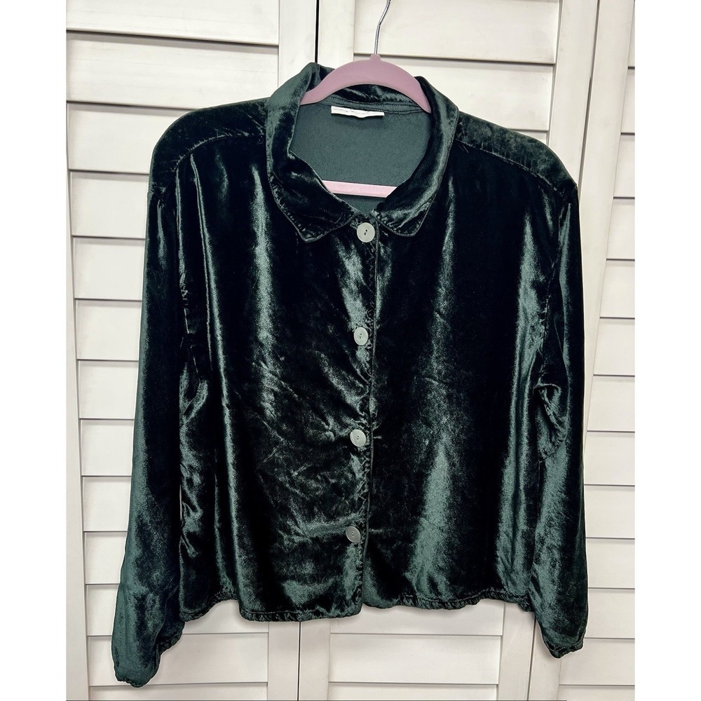 Bryn Walker Velvet Long Sleeve Button Down Top Lagenlook Artsy Size Large Green
